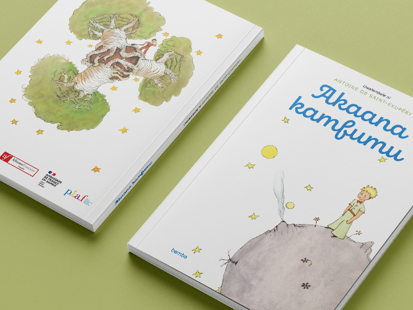 Fondation Jean-Marc Probst pour le Petit Prince, Le Petit prince, Antoine de Saint Exupery, Sébastien Ripoll, graphiste, Bordeaux
