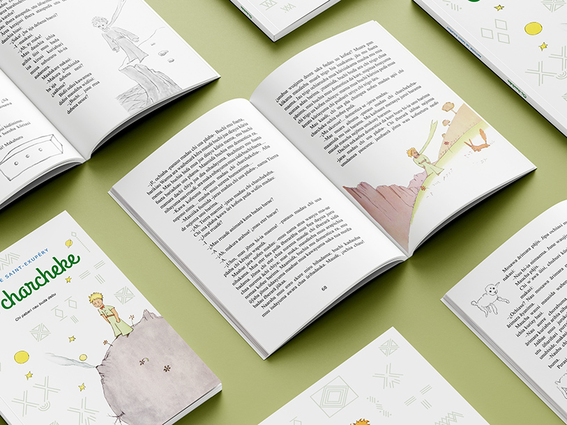 Fondation Jean-Marc Probst pour le Petit Prince, Le Petit prince, Antoine de Saint Exupery, Sébastien Ripoll, graphiste, Bordeaux