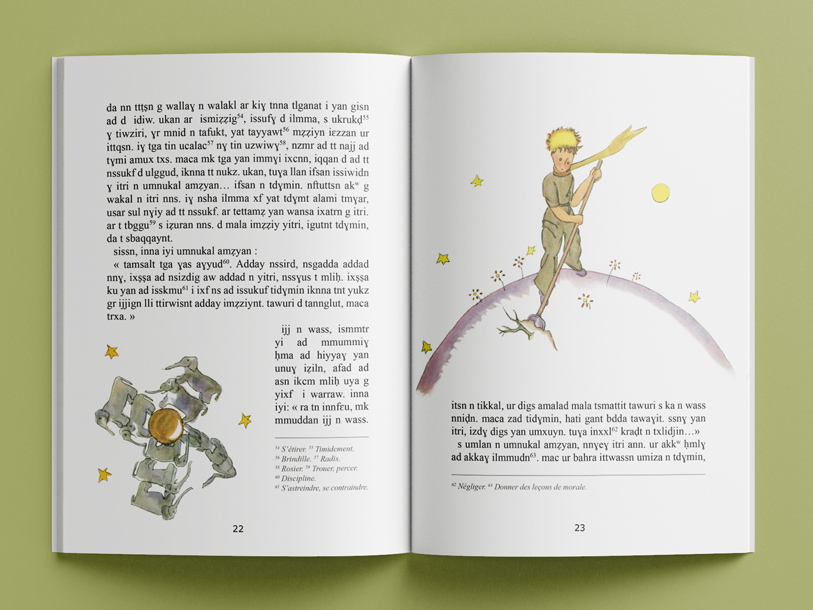 Fondation Jean-Marc Probst pour le Petit Prince, Le Petit prince, Antoine de Saint Exupery, Sébastien Ripoll, graphiste, Bordeaux